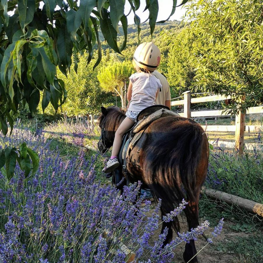 Farm stay Karaiskos Agritourism Farm