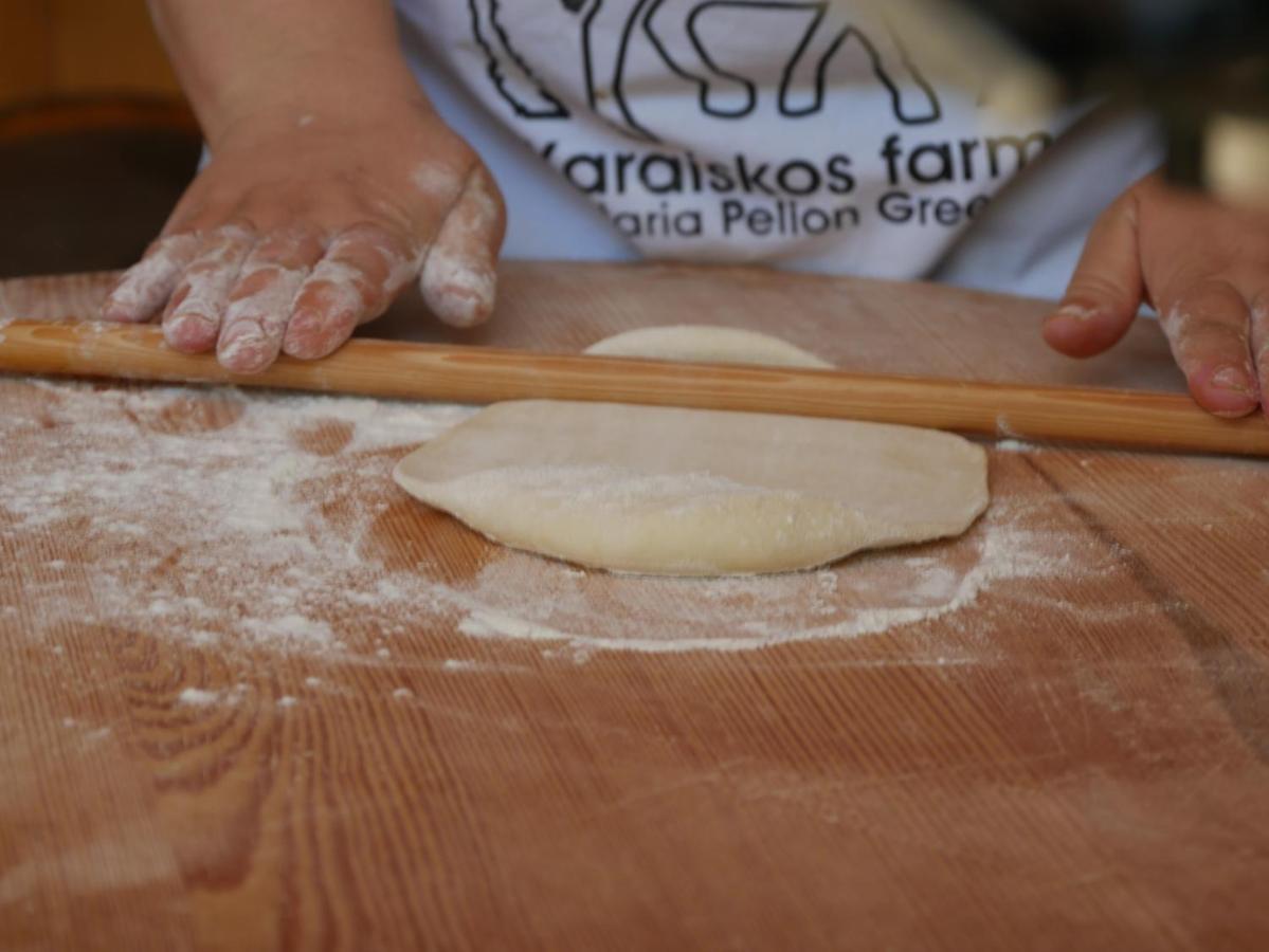 Karaiskos Agritourism Farm Farm stay *