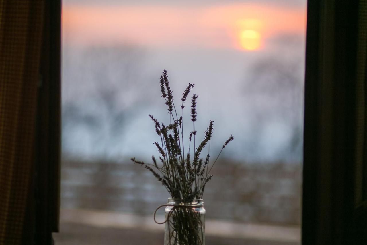 Farm stay Karaiskos Agritourism Farm Portaria (Magnesia)