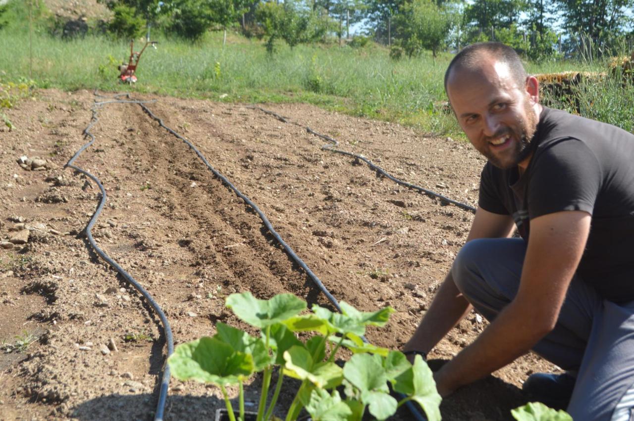 Farm stay Karaiskos Agritourism Farm *