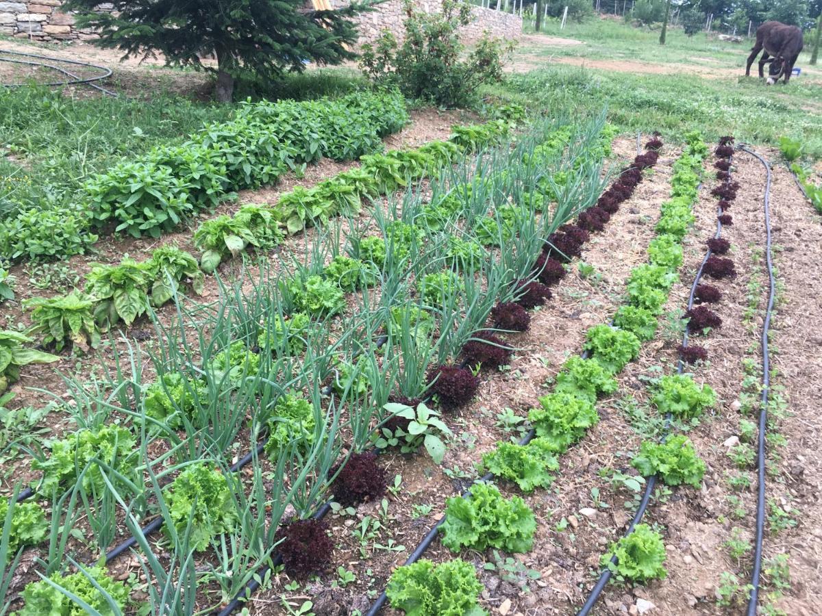 Karaiskos Agritourism Farm